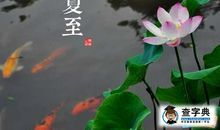 形容荷花的成语