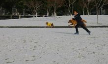 关于捡拾幸福的句子