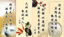 环保的名言警句大全