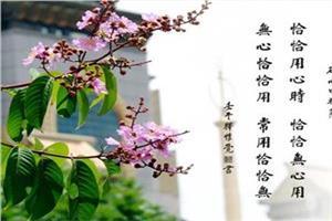 描述打破红色尘土的诗