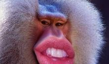 qq空间说说搞笑霸气