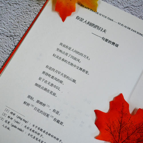 青年作文短句