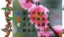 描写爱情纯洁的诗句