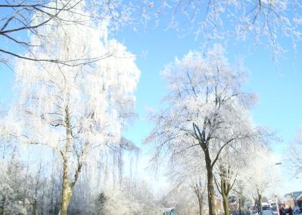 描写冬天下雪的诗