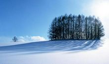 描写冬天的好段落