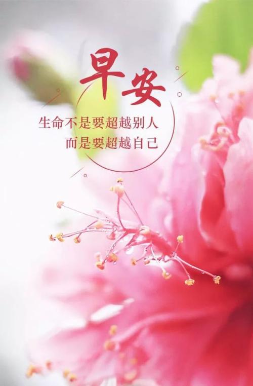 2018新女友早安短信