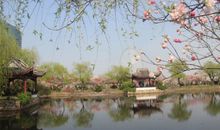 春天风景优美的句子