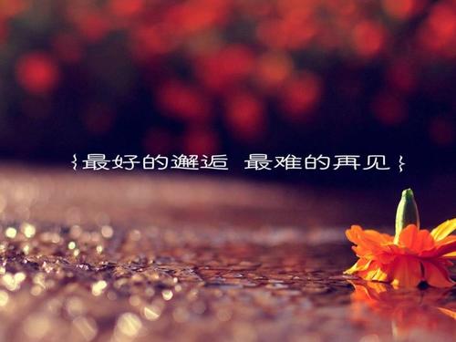 八个字符的爱情短语