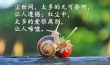 关于爱情的名言哲理