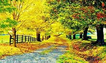 描写夏天美景的诗句