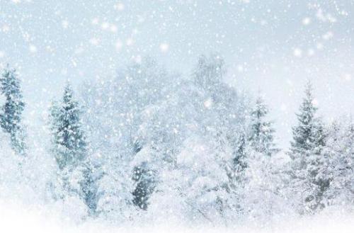 白雪皑皑的美丽句子