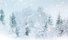 下雪的优美句子