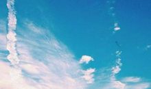 描写河水污染的句子