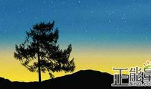 描写创新的优美句子