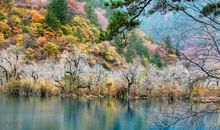 形容看到一个人开心的句子 形容开心快乐的句子