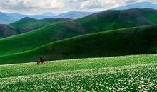 关于描写草原的诗句