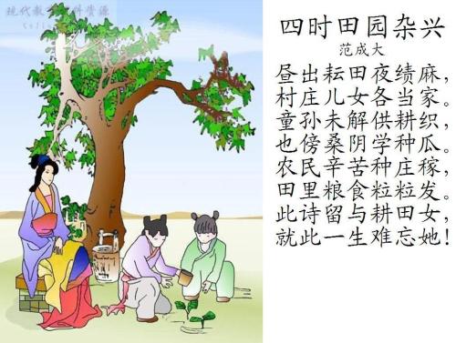 乡村风光