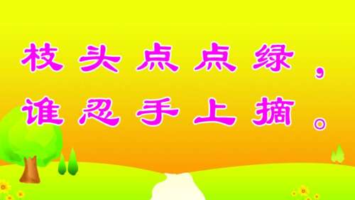 爱学校花草树木的口号