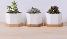 儿童开心的事句子 形容孩子简单快乐的句子