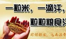 珍惜人生的名言