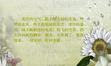 好优美的句子友情的