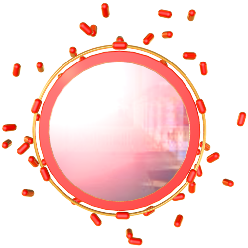 节日句子