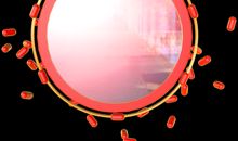 节日气氛的句子