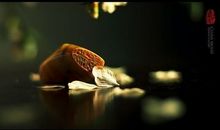 千劫眉经典句子