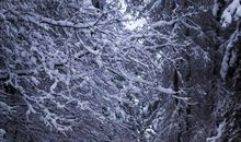 描写冬天雪景的好段