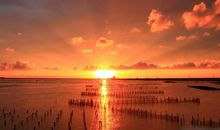 描写美丽风景的段落