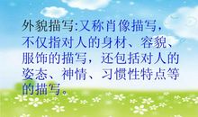 老师外貌的句子