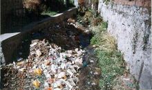 有关环境污染的句子