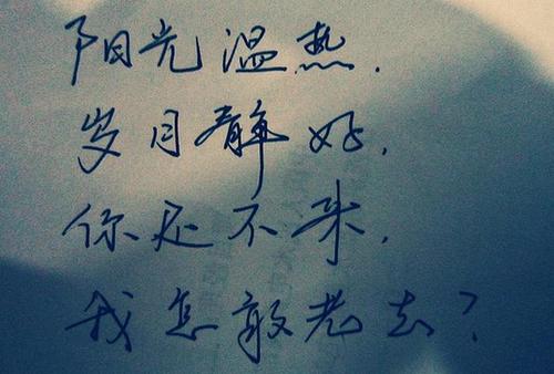经典句子