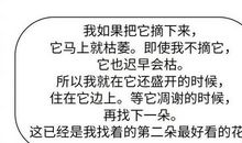 柏拉图爱情名言中英文