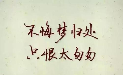 提示我喜欢您的留言