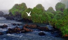 关于瀑布的一段话