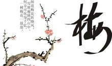 关于写风的诗句古诗