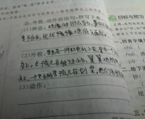 关于女孩外表的句子