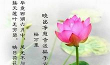 关于鲜花的成语