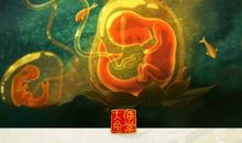 看见中的经典句子