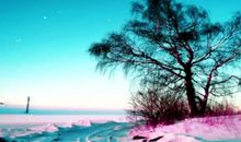 风景抒情经典句子