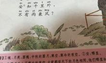 中秋节时会吟诵的诗句