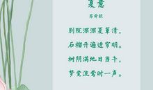 夏天的诗句古诗
