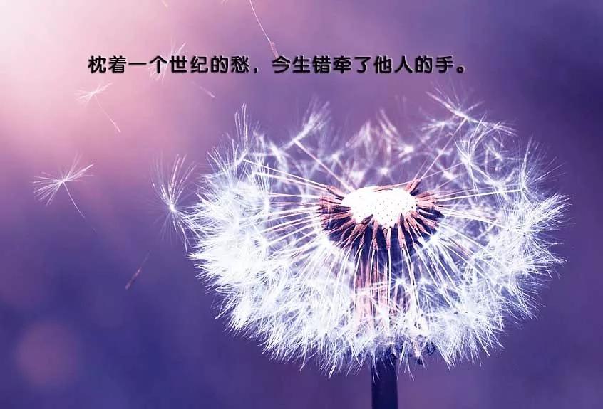 网易云音乐经典报价短句1