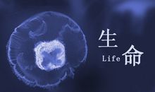 安慰失去亲人的话英文