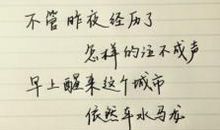 好的爱情句子大全