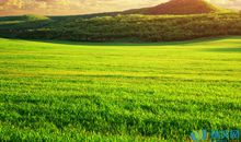 关于描写草原的句子