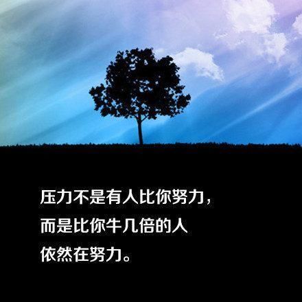 由衷的话
