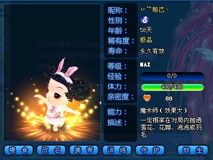 QQ炫舞宠物名字