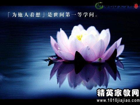 奋斗的歌词